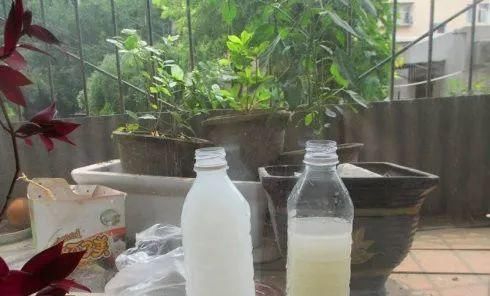  花卉|4种水浇花，一定要小心，用错了，土壤板结、花卉烂根