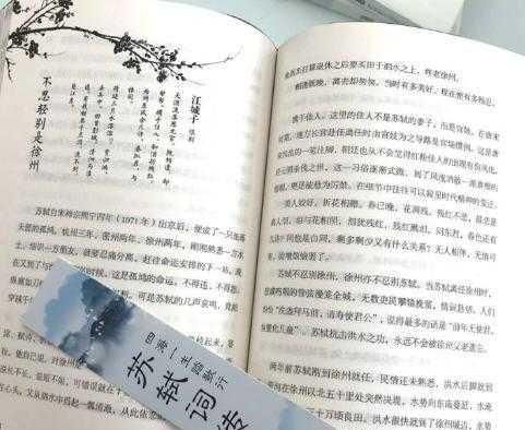 五灯会元|苏轼临死前给儿子留了一首诗,短短四句话,成了千古名句