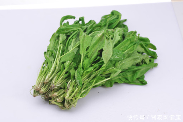 乐享自然:休闲采摘园的新潮流