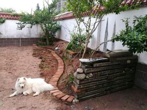 改造|他花3年打造中式庭院,不花钱,全靠捡,完工后让人惊艳