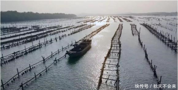 粤菜之所以高级,调味料也很努力哦!