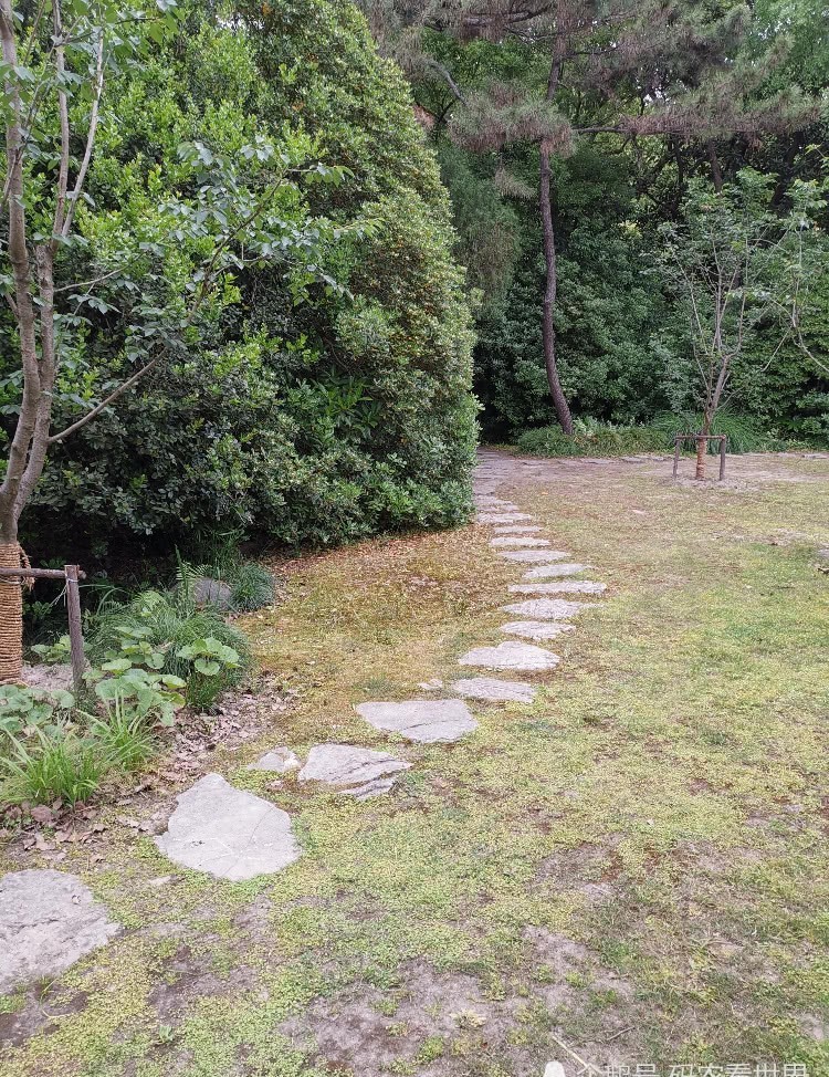 花园草坪|走进淮海路1843号,感受宋庆龄伟大光辉的一生