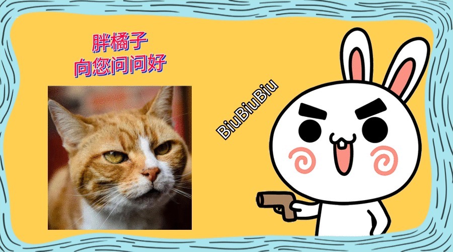 折耳猫能活多久 折耳猫能活多久