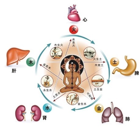 健脾|一把五味子，五脏皆可养！5种吃法护心、养肝、健脾、润肺、固肾