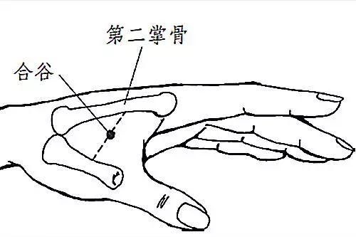 中老年人|让疾病远离你和你的家人——人体的“万能穴”！