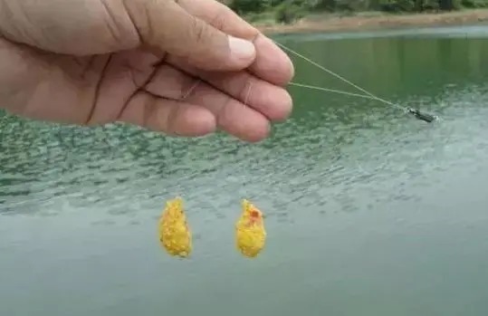 总是半路跑鱼?不要担心,你这样调子线和钩距试试!