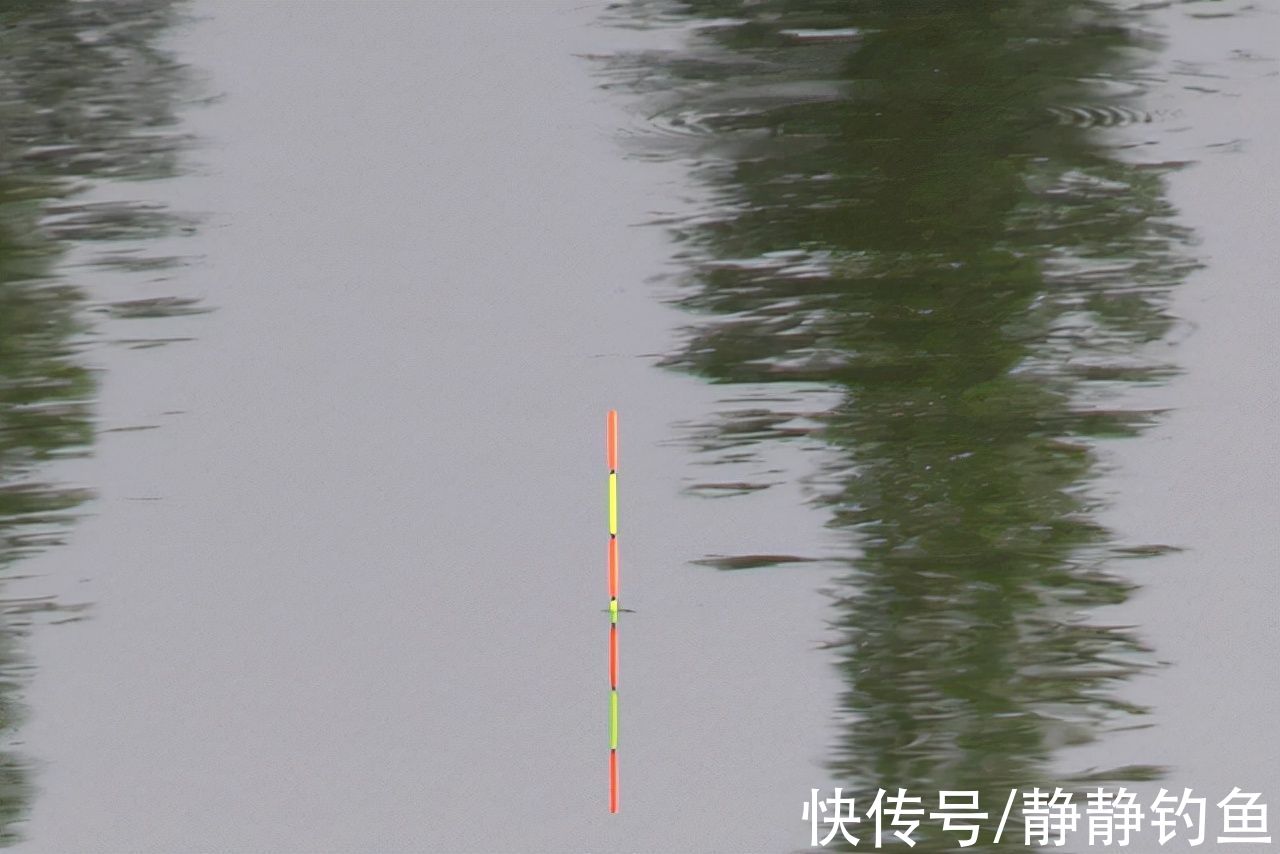 钓鱼调漂有诀窍，这6个“口诀”一般人还真不知道，值得收藏