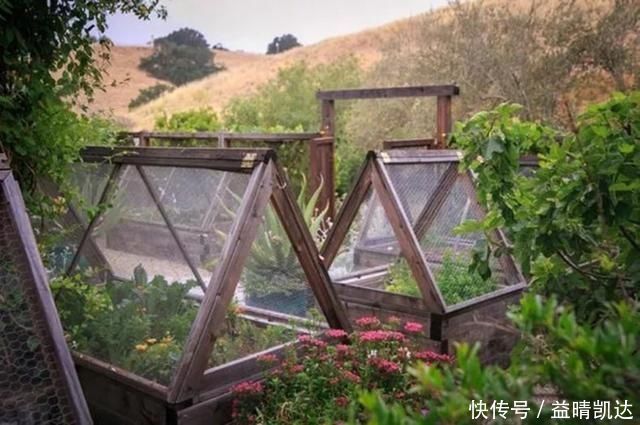 现在有个菜园才是人生赢家,450㎡可食用花园,实现你的吃货自由