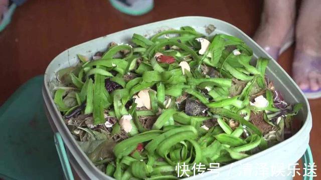 养花|生活垃圾做养花肥,再好不过,月季花用了就猛长!