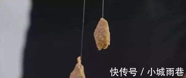 热天钓鱼开饵时用上这5招，不是跟你吹，大鱼看见就狂咬，半天就爆护！