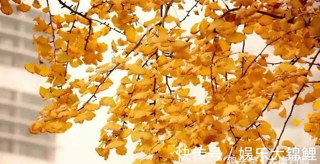 姚世明|8月15中秋至，不懂规矩要吃亏！做好15事，补好身体，一冬病不找