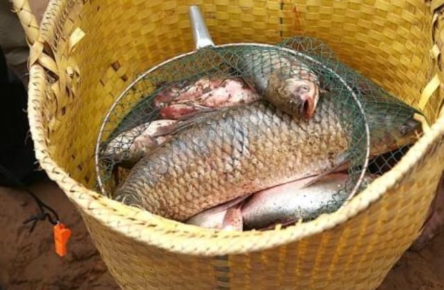 土豪|我国最美味的4种鱼,听说过的就很了不起,吃过两种以上都是土豪