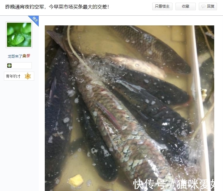 深圳2钓鱼人当街卖鱼,大小不论统统15元,网友:怎么不像是钓的