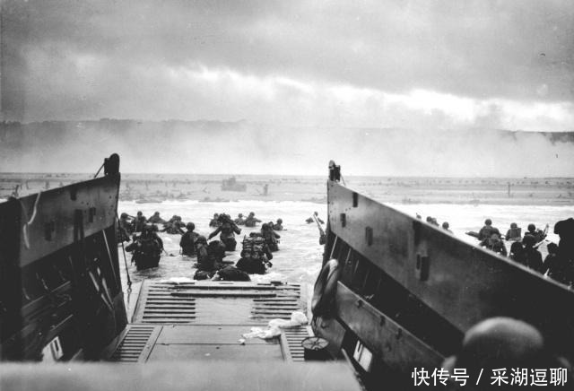 损失|诺曼底登陆,盟军288万,德军76万,双方各自损失了多少人?