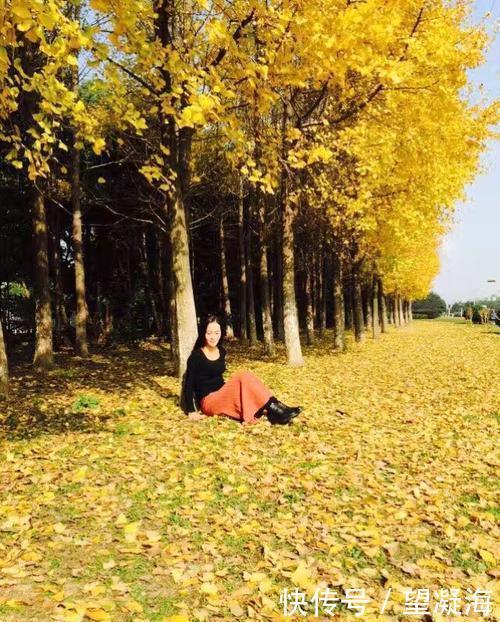 诗词|诗词/兰亭梦令《落叶成伤》