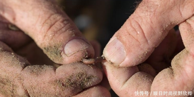我是如何用蚯蚓钓鱼的