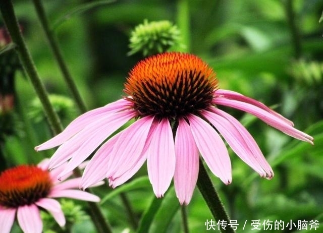 “网络彩票”涉嫌违大发彩票 - 官方购彩平台注册即送88元安全可靠的彩票娱乐平台法