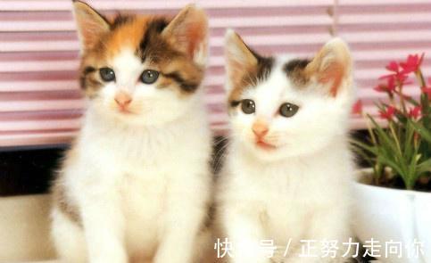 |【搞笑段子】大叔,我不是看飞机的,我就想打个喷嚏