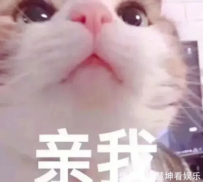 我一个人|情侣头像丨爱僧不爱紫衣僧