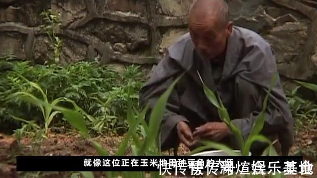 修行&终南山隐士修为到底有多高?美国人跑到终南山,拍下隐士真实生活