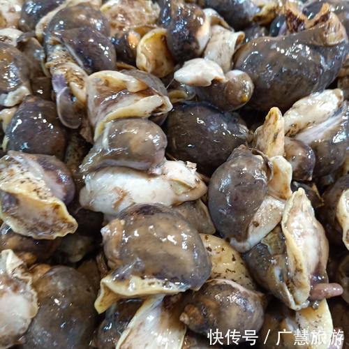 日照美食是海鲜,外地游客来日照建议品尝海鲜,避免被宰有心得