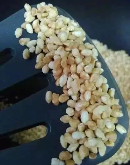 对大米做一件事，拔出体内湿气，刮走肠道垃圾，甩掉大肚子~