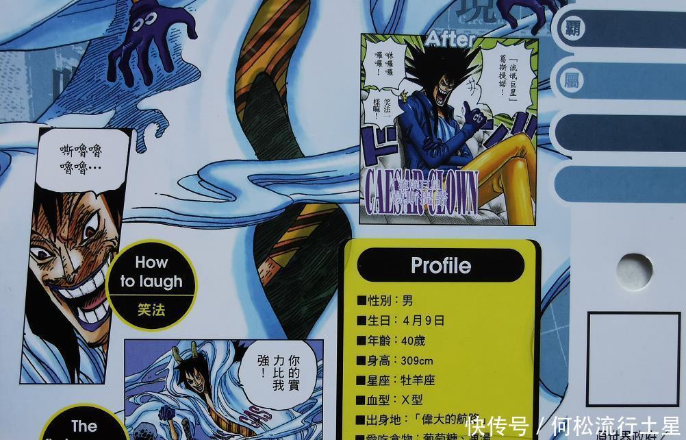实力|海贼王官方资料他是四皇争抢的科学家,曾一招将路飞一行人团灭!