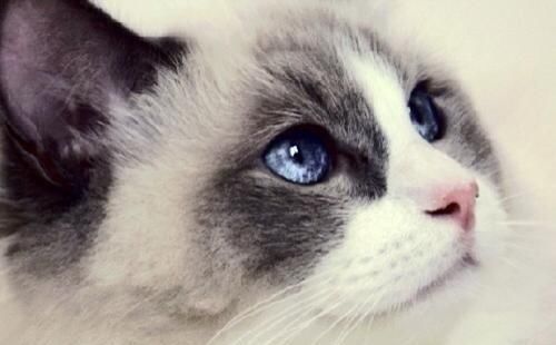 六六大吉|生日尾数是几的孩子,一生注定不平凡,出人头地,父母少操心