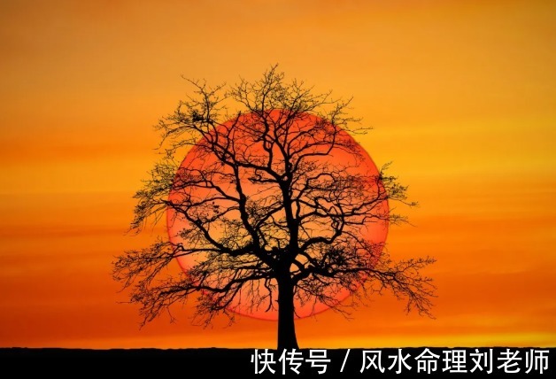 外公|印星合局,个性和善,儒雅,有不错的福气