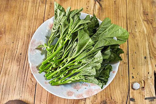 它是天然“止咳菜”，止咳化痰，清热解毒，还补钙，孩子吃身体好