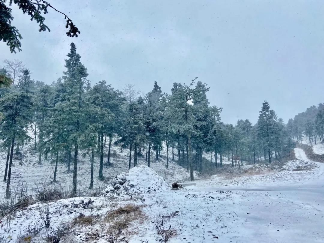 石梁美|一场初雪，天台石梁美成了画中仙~