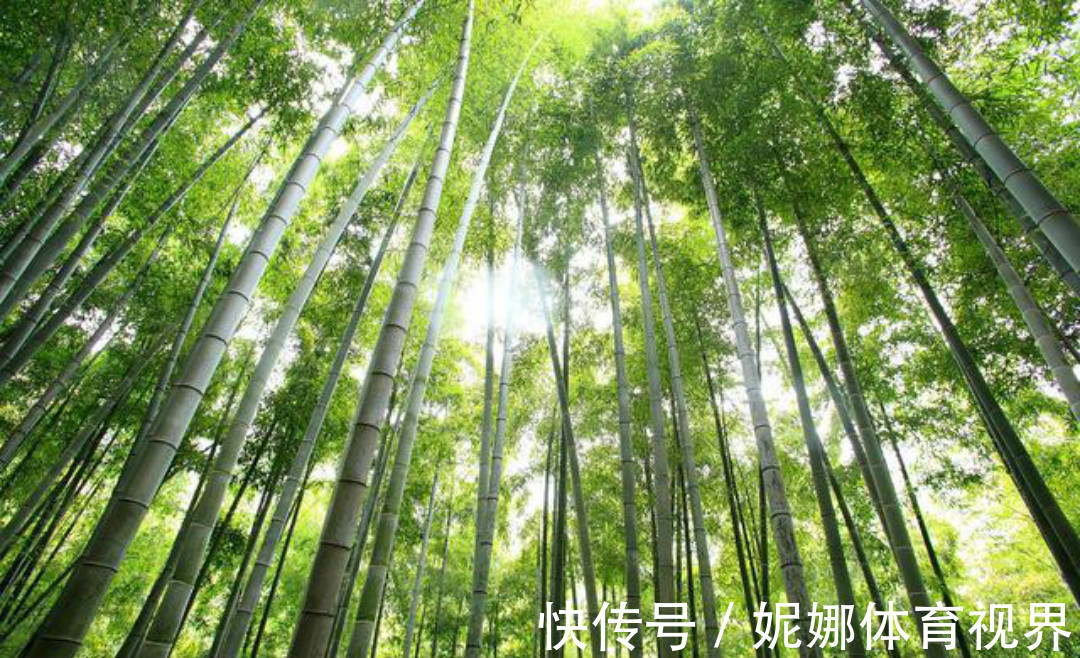 全唐诗&《全唐诗》里很有禅理的一首诗,每一句都是人生箴言,写得很深刻