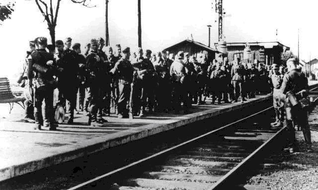 德国|德军二战的100万“动物部队”,没它们可能早就输了