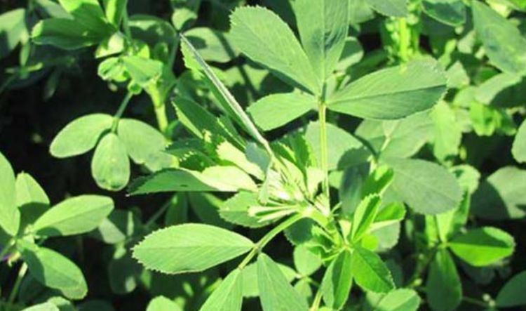 羡慕别人不生病，冬天多吃3种食物，增强抵抗力，身体更健康