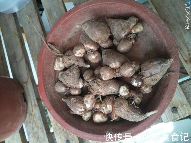 种花|9种花，天热会“假死”，千万别丢了，秋天就苏醒