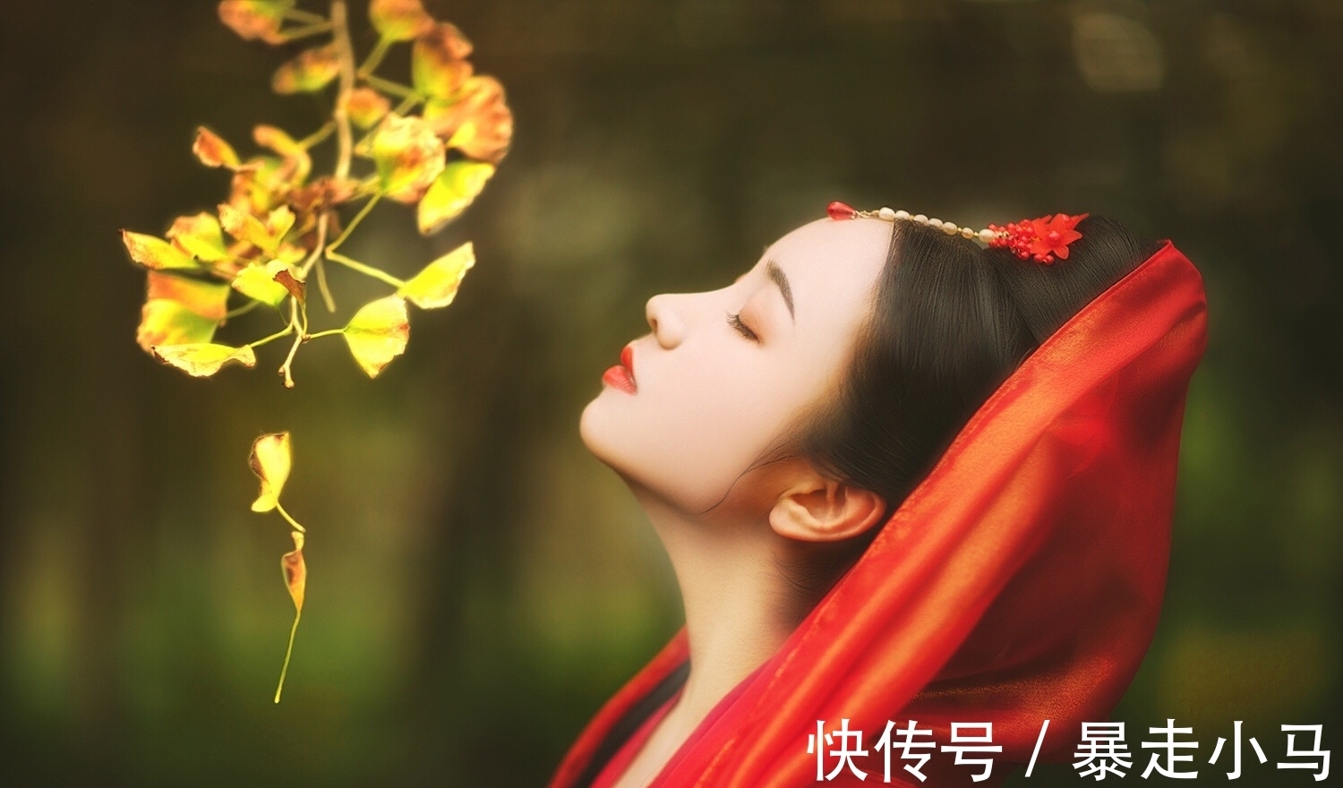 清风明月!谁说当代无好诗?推荐34首好诗,送给苍凉冬天,像一壶老酒温暖你