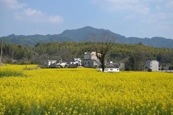 东川|11月去哪里赏秋？6个人少景美的旅行地，正是你要出发的方向