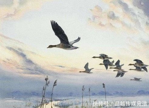 云龙|诗词篇 14 萨都剌《木兰花慢·彭城怀古》