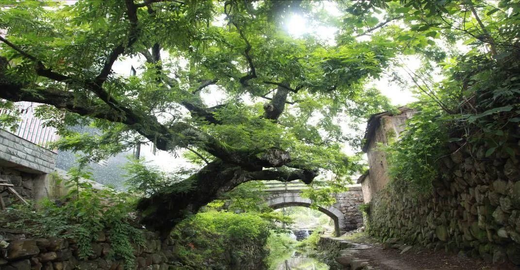  千年龙宫村 义字行天下|印象·清廉宁波 | 宁波