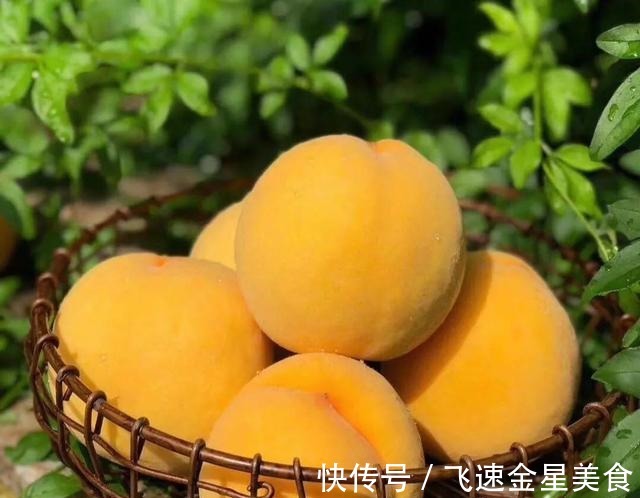 国家地理|黄桃中的“金皇后”,脆甜多汁,个大饱满,咬一口全是蜜~!