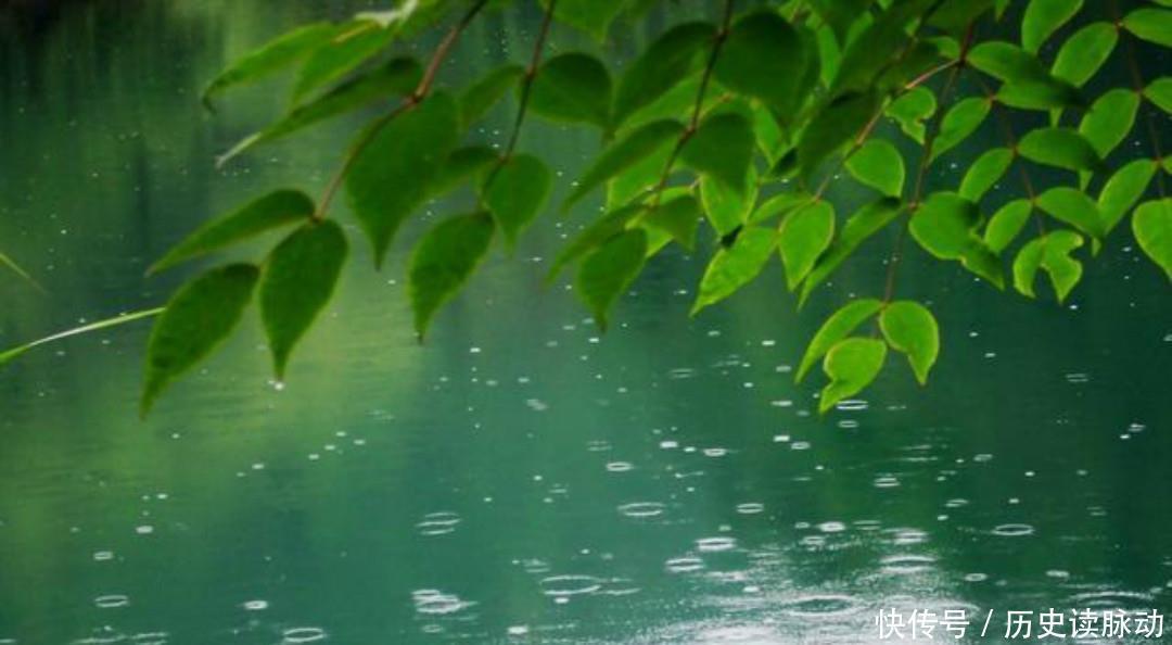 杨万里这首听雨诗意境唯美，虽然只有短短几句，但是写得生动有趣