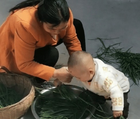 奶奶|“会干的不想干,不会干的抢着干”,萌娃实力帮倒忙,摘韭菜火了