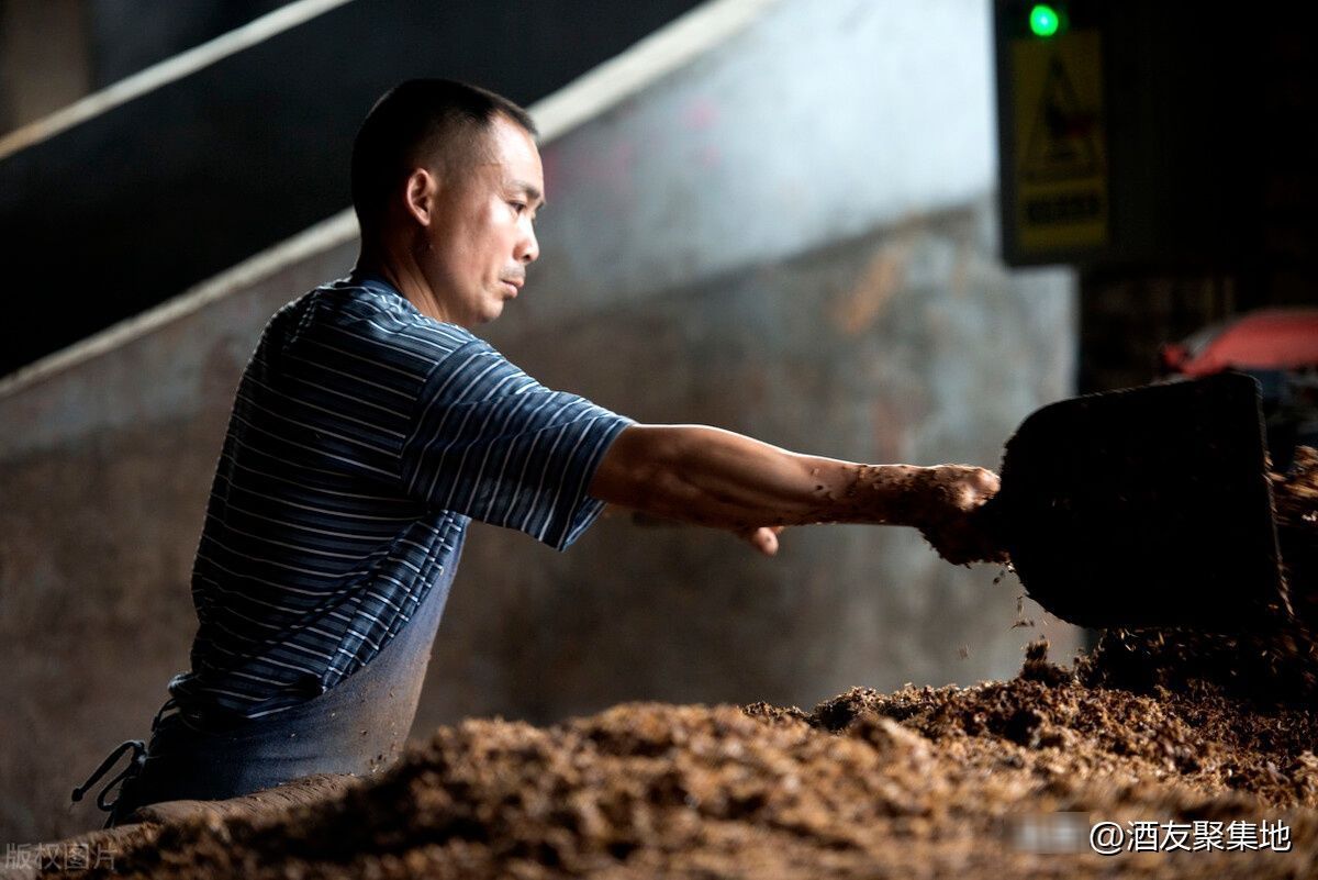 用粮食酿造|纯粮酒有苦味,为什么酒坊的酒有苦味,大酒厂的酒没有苦味