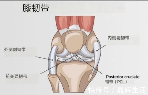 瑜伽|膝盖寿命有限，一定要学会在瑜伽及日常生活中保护膝盖