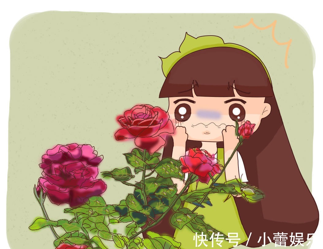 植物|养花遇见虫害怎么办用这6种肥水浇花，虫远离叶翠绿