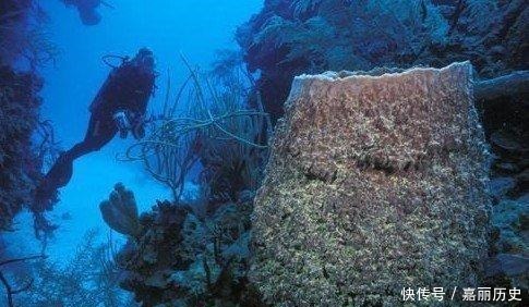 沉落|距今2000年的“计算机”,沉落于希腊海底,究竟是谁制造的