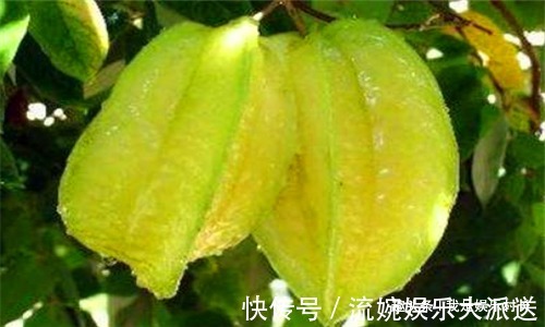 早衰|女性想要身体好,建议吃4种食物,缓解痛经,预防子宫早衰