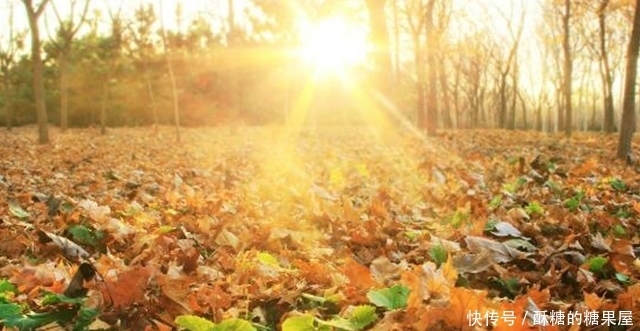 失调|内分泌失调根本原因,身上这个器官在捣乱,养肝就是养命