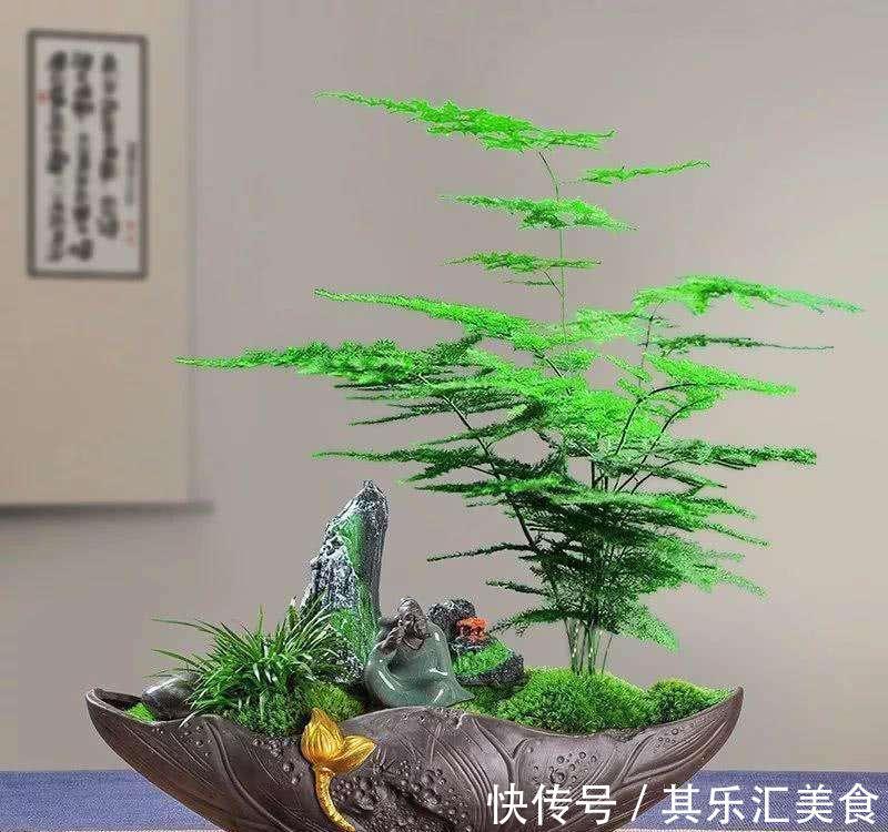 新手如何网购花卉