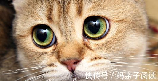 |幽默笑话:为了还女儿借的五百万,平时不上班的时候就去工地搬砖